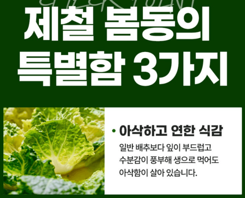 스피드번님의 장터 판매 상품 [봄동] 첨부 사진