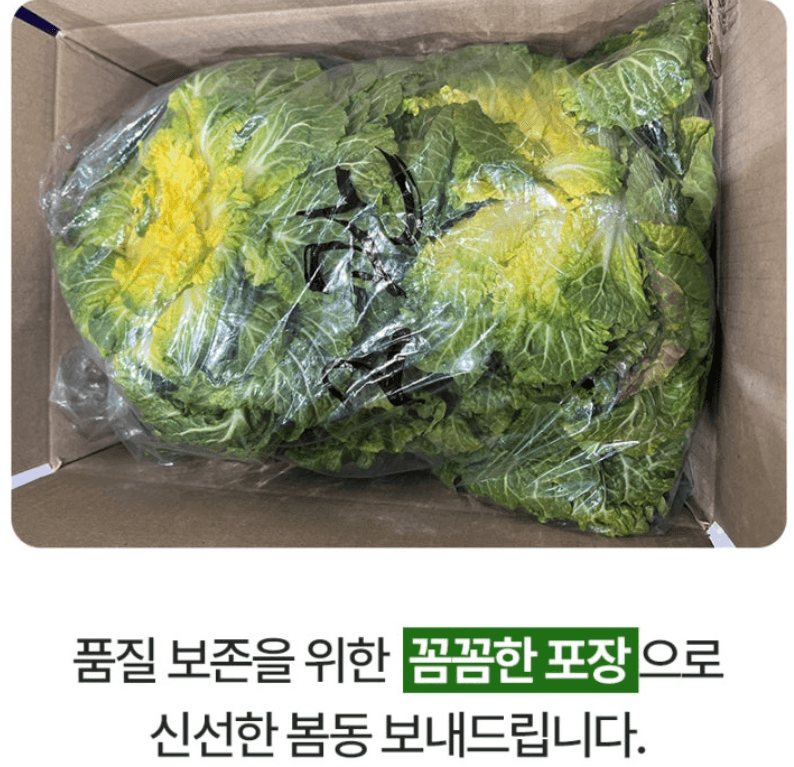 스피드번님의 장터 판매 상품 [봄동] 첨부 사진