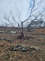 팜모닝 자유주제·자유게시판 게시글 이미지