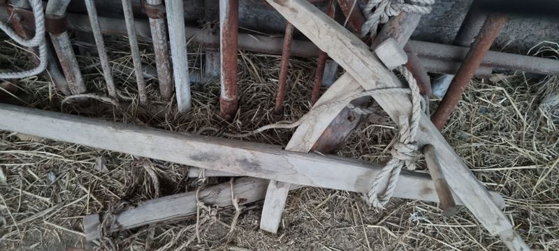 백기운(소릿꾼)님의 장터 판매 상품 [골동품] 첨부 사진