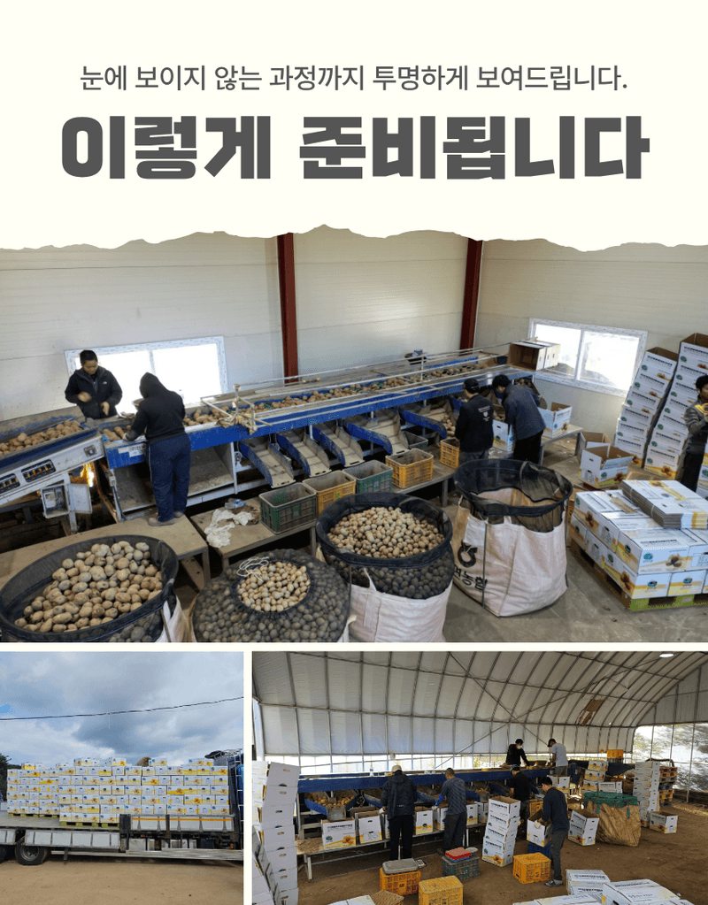 과일팩토리님의 장터 판매 상품 [산지직송 포슬포슬 햇감자 제철 수확 감자 햇감자 1kg/2kg/3kg/5kg/10kg] 첨부 사진