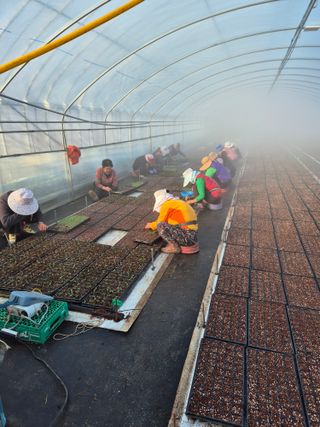 김영진(전남영광)님의 자유주제 · 자유게시판 작성글 사진