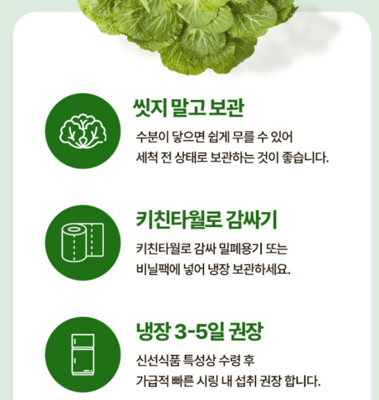 스피드번님의 장터 판매 상품 [봄동] 첨부 사진