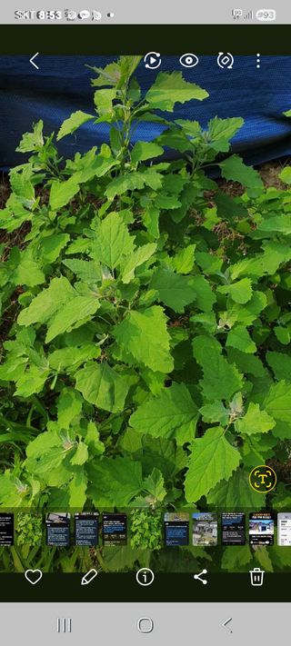 이용규님의 자유주제 · 자유게시판 작성글 사진