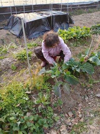 식만동 강변농원님의 자유주제 · 자유게시판 작성글 사진