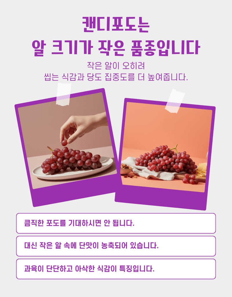 과일팩토리님의 장터 판매 상품 [프리미엄 신품종 초고당도 수입포도 솜사탕향 캔디포도 500g/1kg/2kg/4kg] 첨부 사진