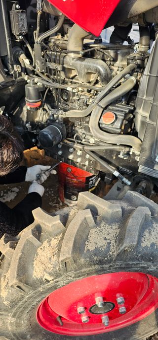 뿌리묘목농원님의 자유주제 · 자유게시판 작성글 사진