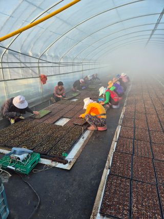 김영진(전남영광)님의 자유주제 · 자유게시판 작성글 사진