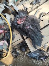 팜모닝 자유주제·자유게시판 게시글 이미지