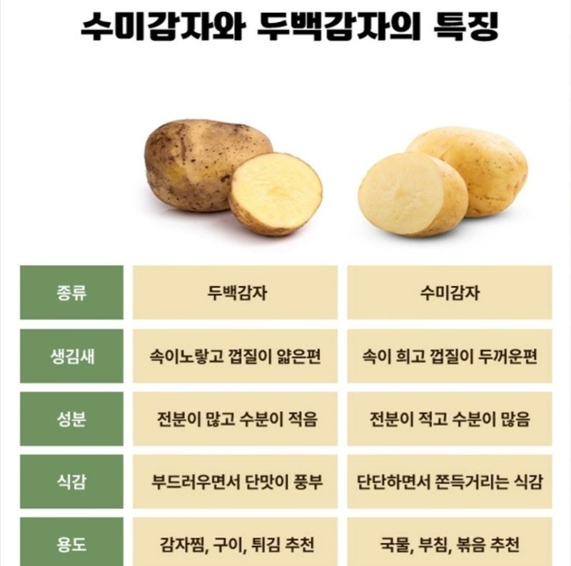 돼지파쪽파님의 장터 판매 상품 [강원도 씨감자 판매 ( 두백) 포슬포슬] 첨부 사진