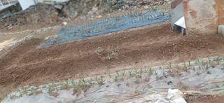 초보퍼머5도2촌준비님의 자유주제 · 자유게시판 작성글 사진