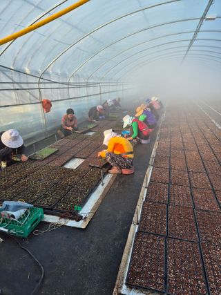 김영진(전남영광)님의 자유주제 · 자유게시판 작성글 사진
