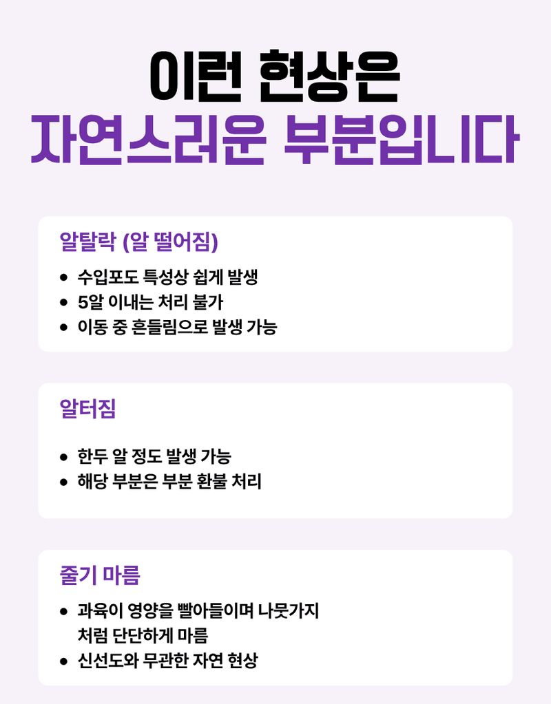 과일팩토리님의 장터 판매 상품 [프리미엄 고당도 씨없는 수입포도 크림슨포도 500G/1KG/2KG/4KG] 첨부 사진