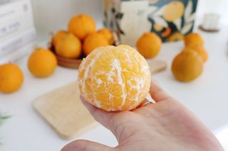 새달귤농장님의 작성글 사진