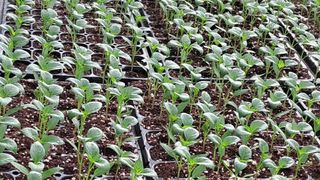 당진님의 자유주제 · 자유게시판 작성글 사진