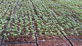 당진님의 자유주제 · 자유게시판 작성글 사진