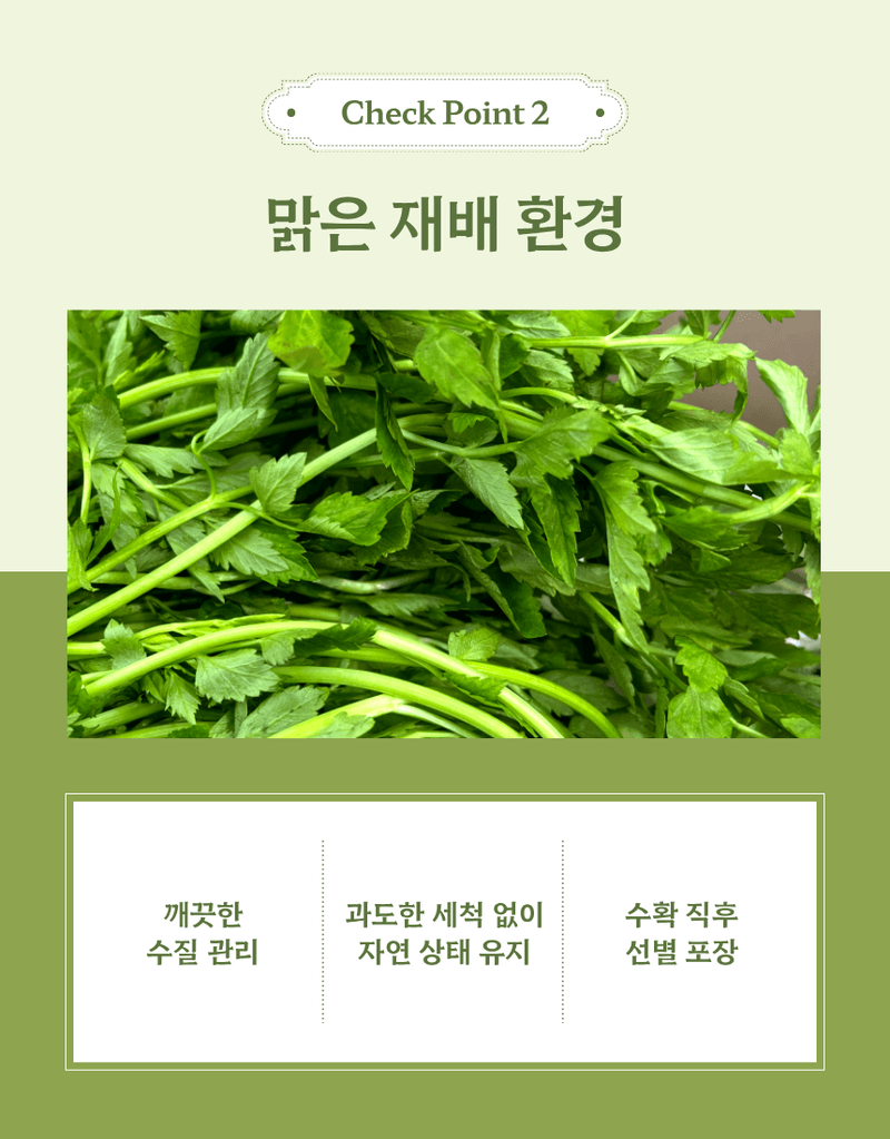 과일팩토리님의 장터 판매 상품 [산지직송 향긋 아삭 생미나리 청도미나리 200g/500g/1kg/2kg/4kg] 첨부 사진