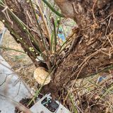 팜모닝 자유주제·자유게시판 게시글 이미지