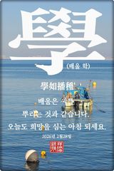 팜모닝 자유주제·자유게시판 게시글 이미지