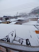 팜모닝 자유주제·자유게시판 게시글 이미지