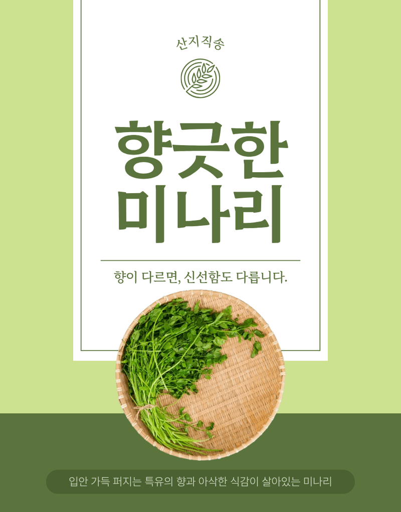 과일팩토리님의 장터 판매 상품 [산지직송 향긋 아삭 생미나리 청도미나리 200g/500g/1kg/2kg/4kg] 첨부 사진