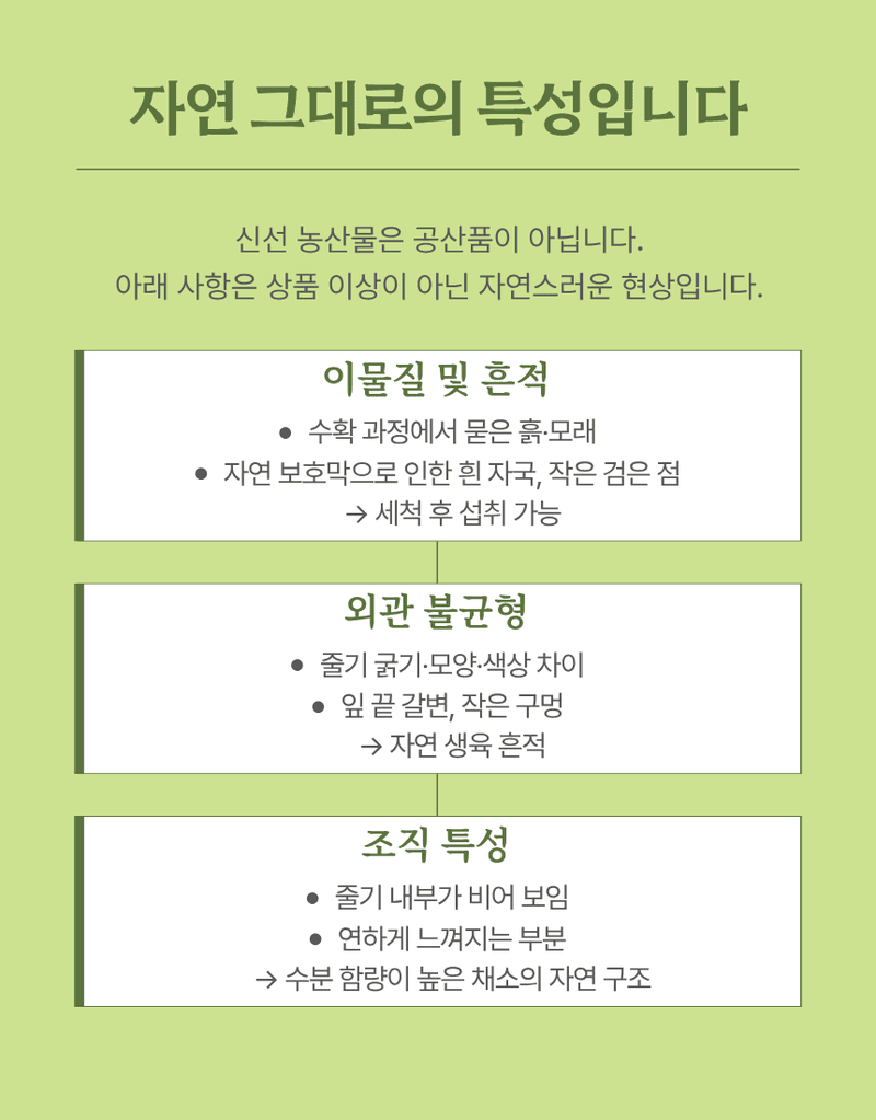 과일팩토리님의 장터 판매 상품 [산지직송 향긋 아삭 생미나리 청도미나리 200g/500g/1kg/2kg/4kg] 첨부 사진