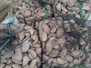 김복철님의 작성글 사진