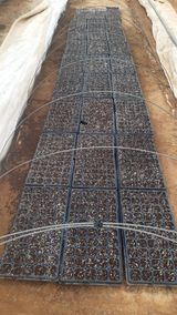 팜모닝 자유주제·자유게시판 게시글 이미지