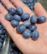 팜모닝 · 게시글 이미지