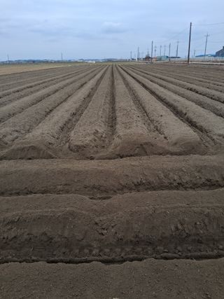 김복철님의 작성글 사진