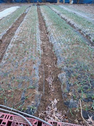 논산상월안정환님의 자유주제 · 자유게시판 작성글 사진