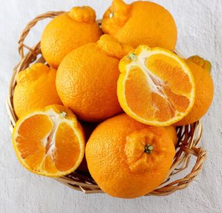 새달귤농장님의 작성글 사진