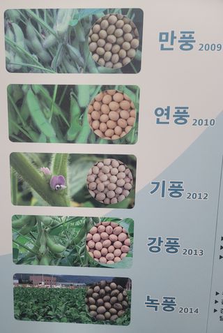 신승철님의 작성글 사진