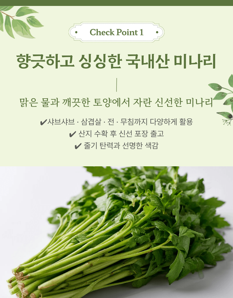 과일팩토리님의 장터 판매 상품 [산지직송 향긋 아삭 생미나리 청도미나리 200g/500g/1kg/2kg/4kg] 첨부 사진