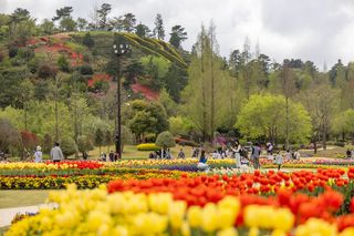 국중선님의 자유주제 · 자유게시판 작성글 사진