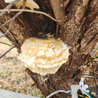 하동삼삼오오님의 자유주제 · 자유게시판 작성글 사진