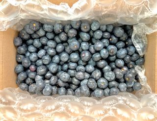 농부손녀님의 작성글 사진