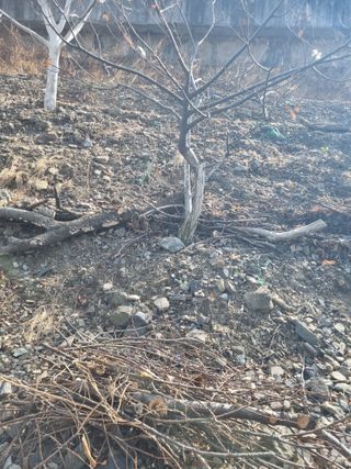 김용대님의 자유주제 · 자유게시판 작성글 사진