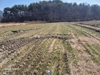 사천시향촌동 돼지띠님의 자유주제 · 자유게시판 작성글 사진