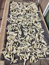 팜모닝 자유주제·자유게시판 게시글 이미지