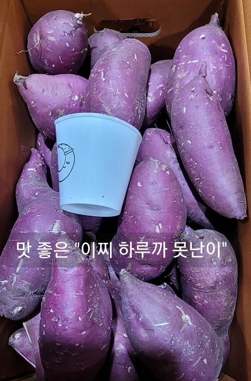 사랑꽃농장님의 장터 판매 상품 [길쭉이 꿀 고구마 10kg] 첨부 사진