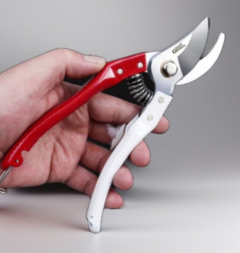 장터 상품 [원예 전지 가위 고강도 스틸 과수원 가지치기] 썸네일