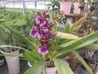 광탄엘림농원새롭게!님의 자유주제 · 자유게시판 작성글 사진