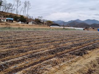 MSG0074님의 자유주제 · 자유게시판 작성글 사진