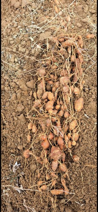 콩18930님의 자유주제 · 사진전 작성글 사진