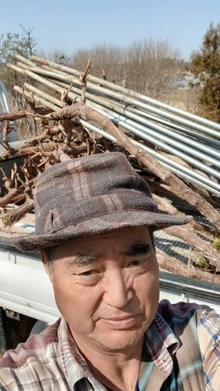 팜모닝회원 최창락 님의 자유주제 · 자유게시판 작성글 사진