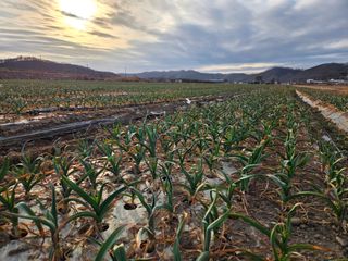 김태혁님의 자유주제 · 자유게시판 작성글 사진