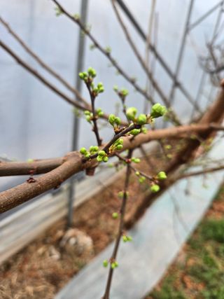 두릅나무9110님의 자유주제 · 자유게시판 작성글 사진