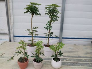 광탄엘림농원새롭게!님의 자유주제 · 자유게시판 작성글 사진