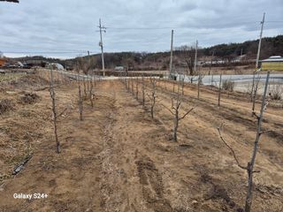 전홍열님의 작성글 사진